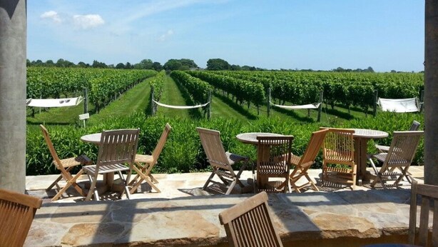 Une terrasse avec un sol en pierre, des chaises et des tables en bois, donnant sur un vignoble.