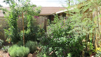 Àrea exterior de l'allotjament