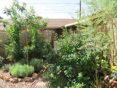 LA CASITA: Charm/Privacy, Stunning Patio, pet friendly