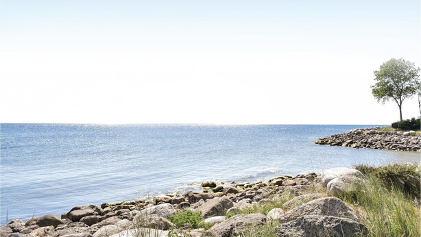 En klippefyldt kystlinje med klart havudsigt og et enkelt træ til højre.