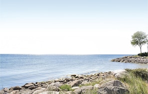 A rocky shoreline with a clear view of the sea and a solitary tree on the right. - Gorgeous home in Löderup with WiFi (Löderup)