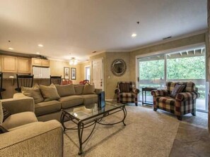 Smart TV, fireplace, DVD player, books