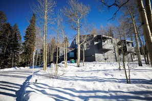 Une maison moderne, entourée d’un paysage enneigé et d’arbres sans feuilles.
