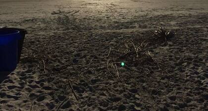 Relax and unwind - Tranquility and secure WIFI included for free!