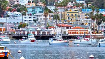 A marina with multiple boats docked, surrounded by colorful buildings and a hillside in the background.