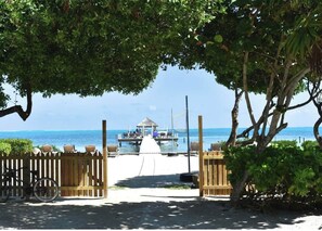 A beach view with a wooden gate, a bicycle, and a thatched-roof structure in the distance. - Hidden Gem Cabana Pool AC Dock Access Paddleboards (Caye Caulker)