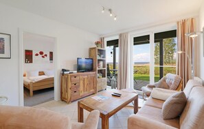 تلفزيون، مشغل دي في دي