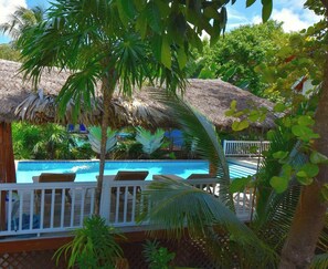 Pool - Seahorse Cabana Pool AC Dock Access Paddleboards-Sleeps 4 (Caye Caulker)