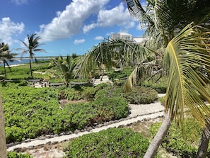 A tropical landscape with a pathway, palm trees, and a building in the background.