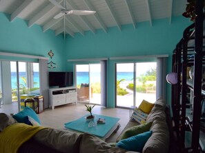 Televisie, een dvd-speler, boeken en een muziekbibliotheek