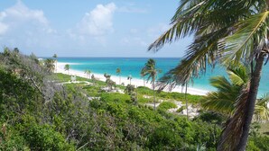 Une plage à l’eau turquoise et limpide, bordée de palmiers et agrémentée d’un kiosque blanc.