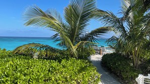 Un sentier bordé d’une végétation luxuriante et de palmiers, qui mène à une plage aux eaux d’un bleu cristallin.
