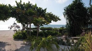 Ein Küstenabschnitt mit Palmen, einer Laube und Blick auf das Meer.