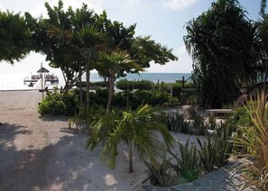 Accommodatie ligt op het strand