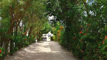 Parco della struttura