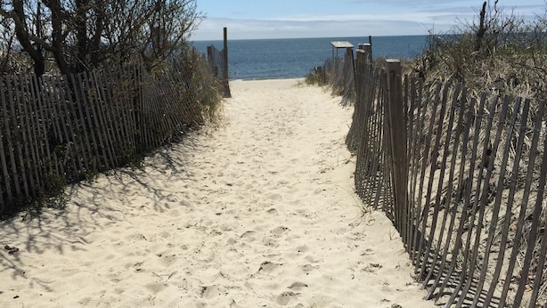 Ein sandiger Pfad am Strand, der zum Meer führt, gesäumt von Holzzäunen und spärlicher Vegetation.