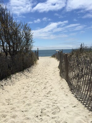Ein sandiger Pfad am Strand, der zum Meer führt, gesäumt von Holzzäunen und spärlicher Vegetation.