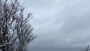 Ein verschneiter Weg, der zu einem Gewässer führt, gesäumt von Holzzäunen.
