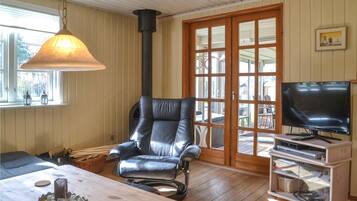 Télévision, cheminée, lecteur de DVD