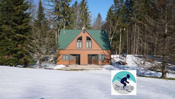 Une cabane surmontée d’un toit végétalisé, entourée d’arbres et de neige.