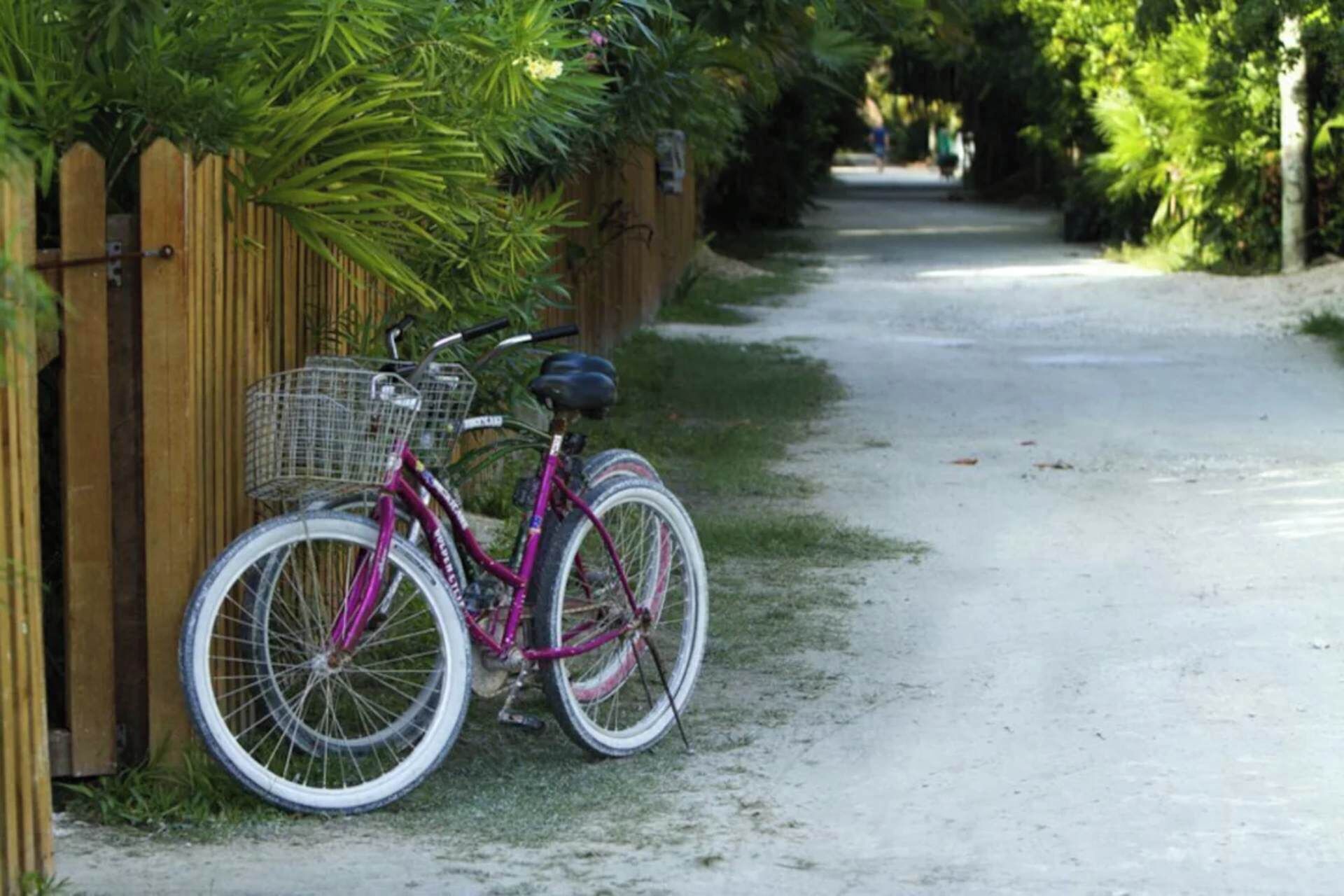 A bicycle parked on a gravel path next to a wooden fence.