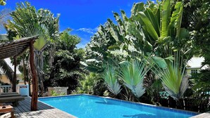 Una piscina rectangular rodeada de exuberante vegetación tropical, con palmeras y hojas de plátano.