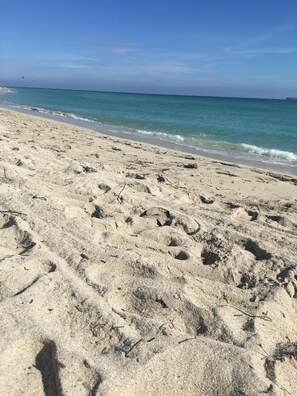 On the beach, sun loungers, beach towels