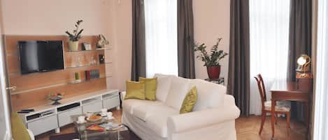 Smart TV, fireplace, DVD player, books