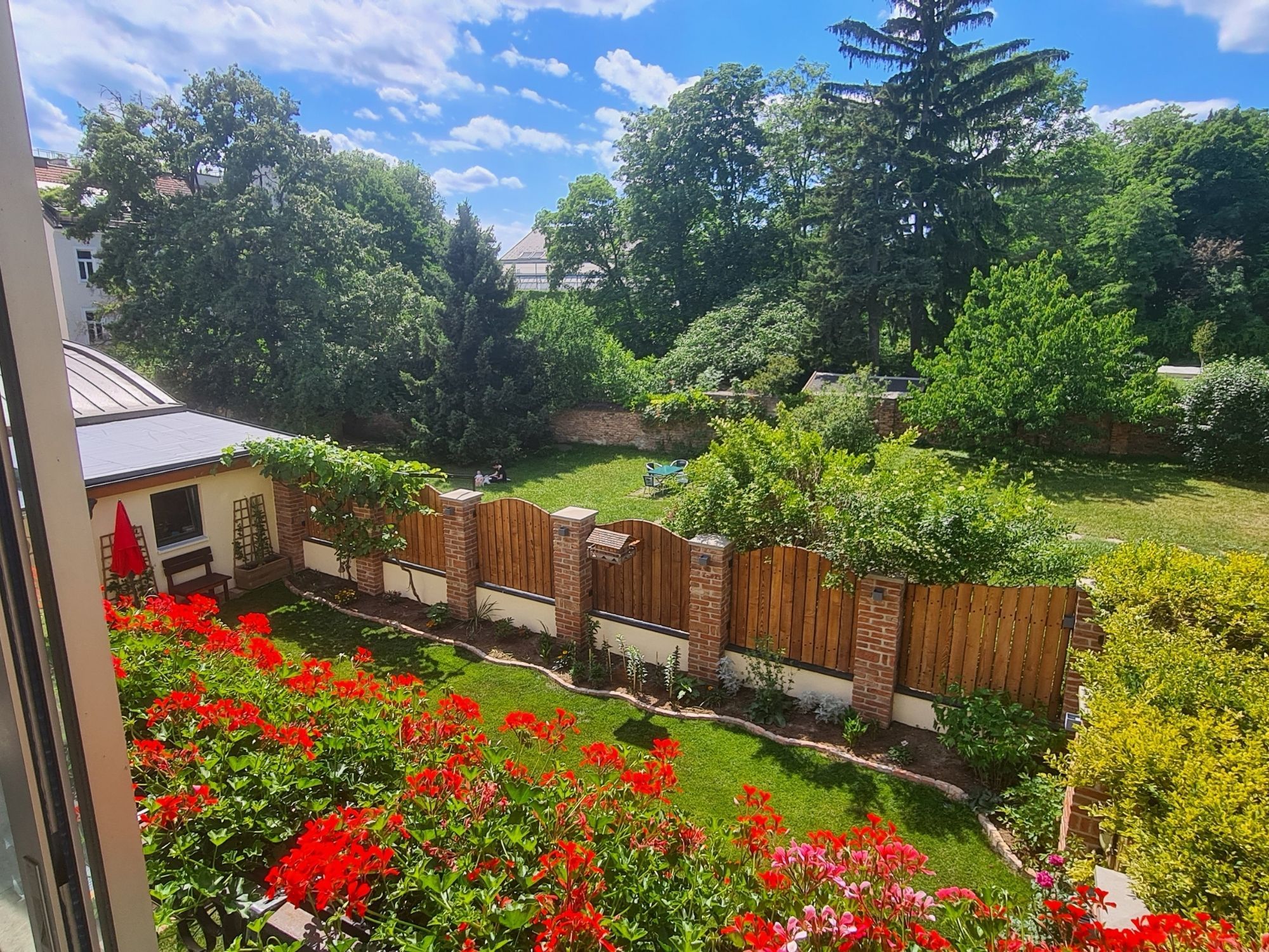 Quintal residencial com cerca de madeira, pequena área de jardim com flores vermelhas e vista para uma casa ao fundo.