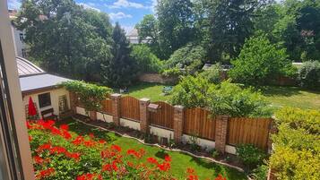 Quintal residencial com cerca de madeira, pequena área de jardim com flores vermelhas e vista para uma casa ao fundo.
