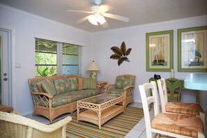 TV, DVD player, books, music library