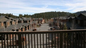 Un quartier résidentiel avec de nombreuses maisons, un ciel dégagé et une forêt en arrière-plan.