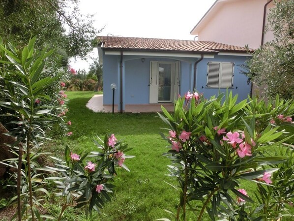 Detalle del exterior