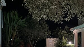 Une piscine dotée d’une terrasse carrelée, entourée de pelouse et d’arbres.