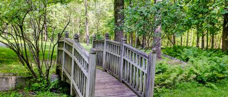 A wooden bridge in a forested area.