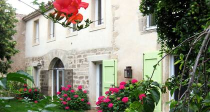 Spacious garden center of Pezenas