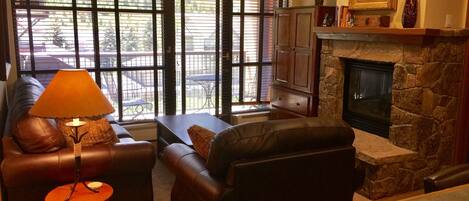 Televisión, chimenea, reproductor de DVD, videoteca