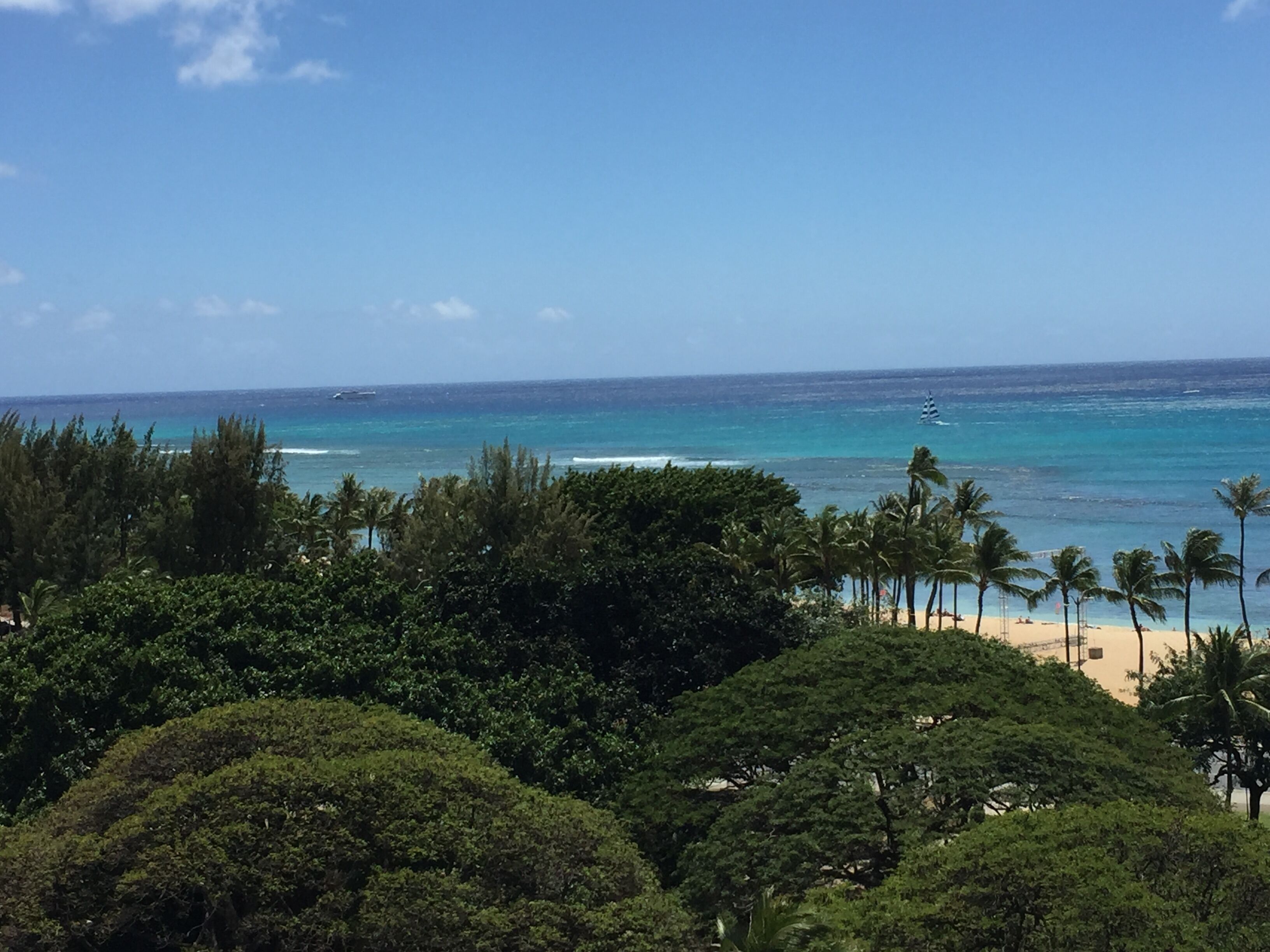 A beach with palm trees and a view of the ocean.
