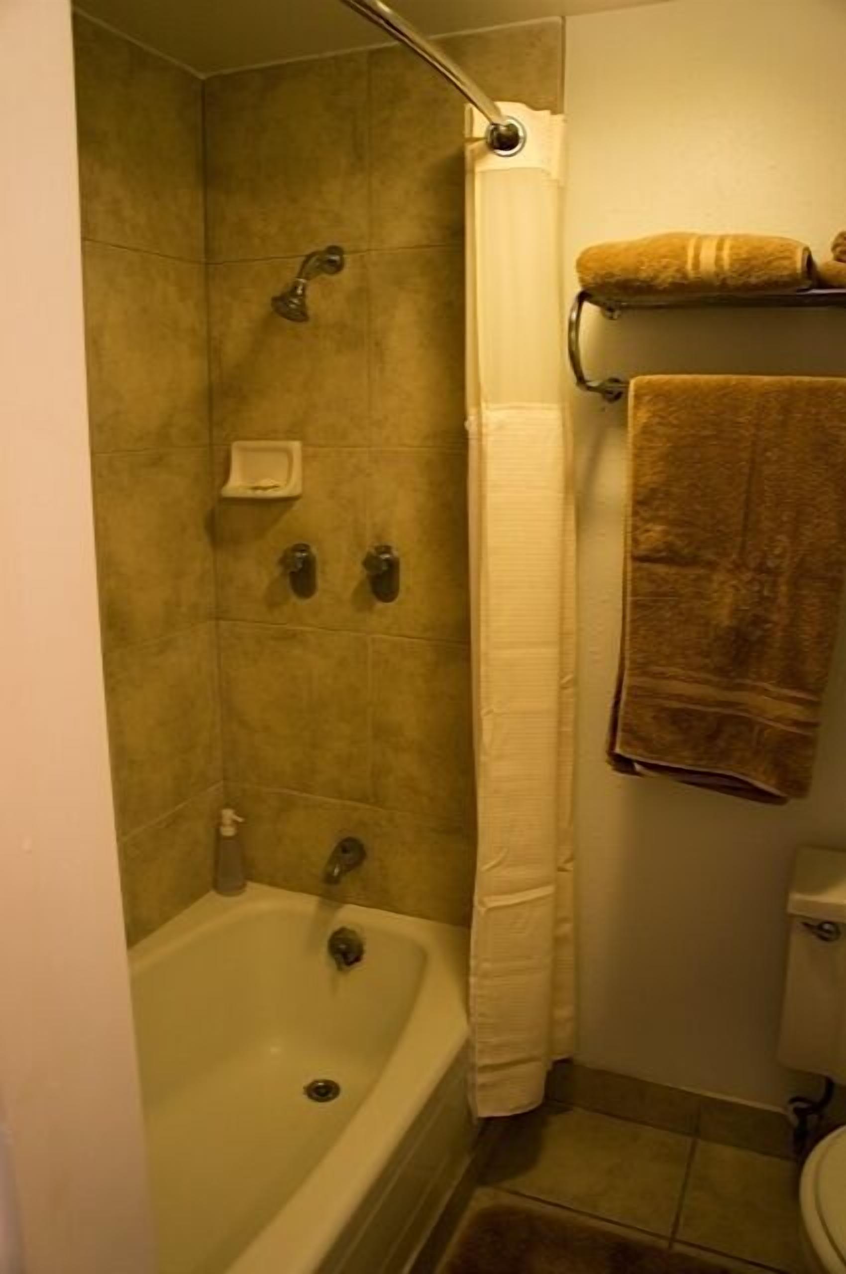 A bathroom with a bathtub, shower, and toilet. There are towels on a rack and a soap dish on the wall.