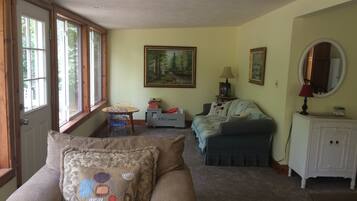 TV, fireplace, DVD player, books