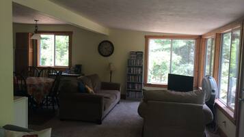 TV, fireplace, DVD player, books