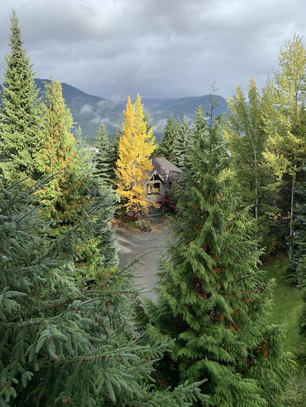 A cabin surrounded by dense evergreen trees with a mountain backdrop. - TRUE Ski inSki out Hot Tub on Village Run-TRULY Slopeside-Luxury, Amazing Views. (Whistler)