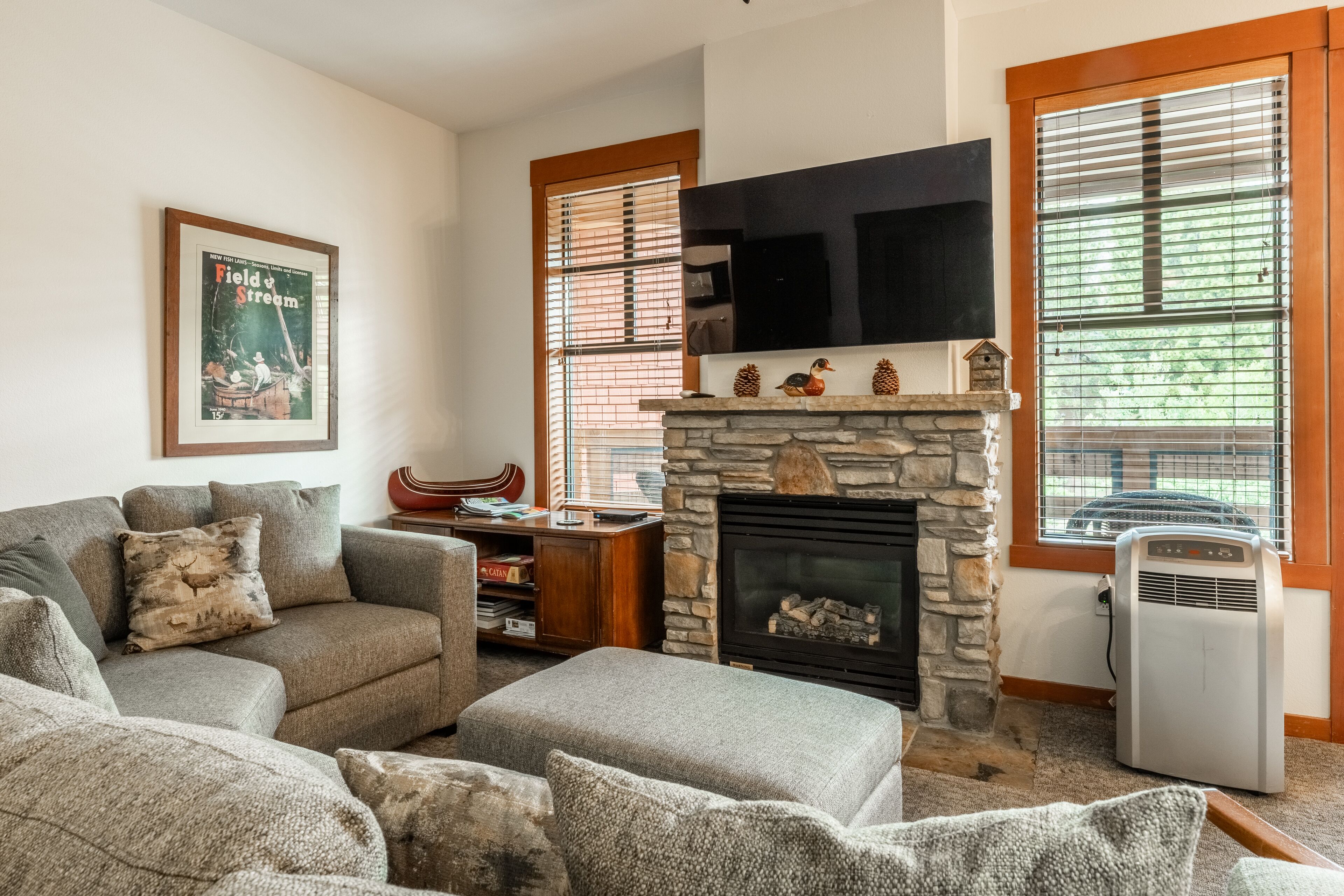 Télévision, cheminée, lecteur de DVD, vidéothèque