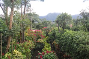 Property grounds - Los Aramos (El Valle de Anton)