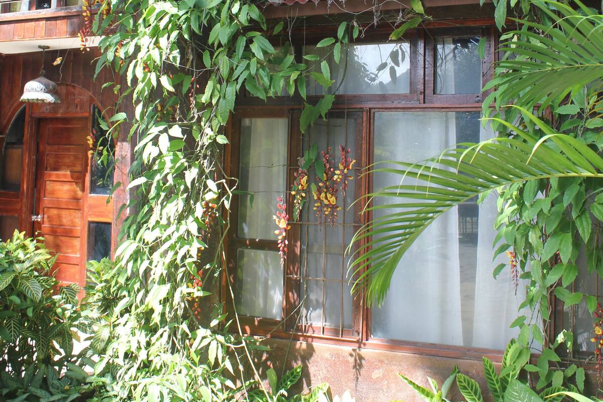 Una casa de madera con balcón, rodeada de abundante follaje y plantas.