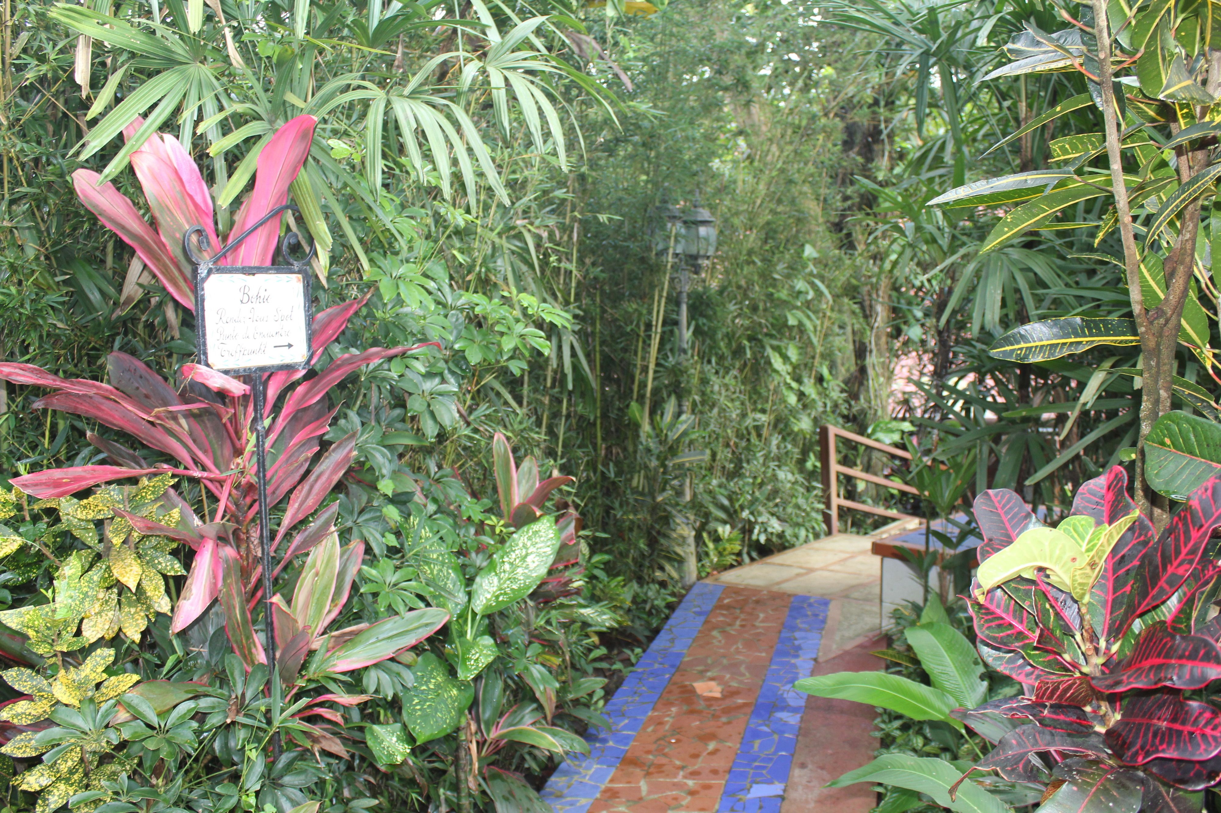 Un sendero en un jardín con diversas plantas y un cartel.