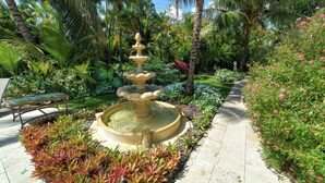 A garden with a central fountain, surrounded by various plants and a bench.