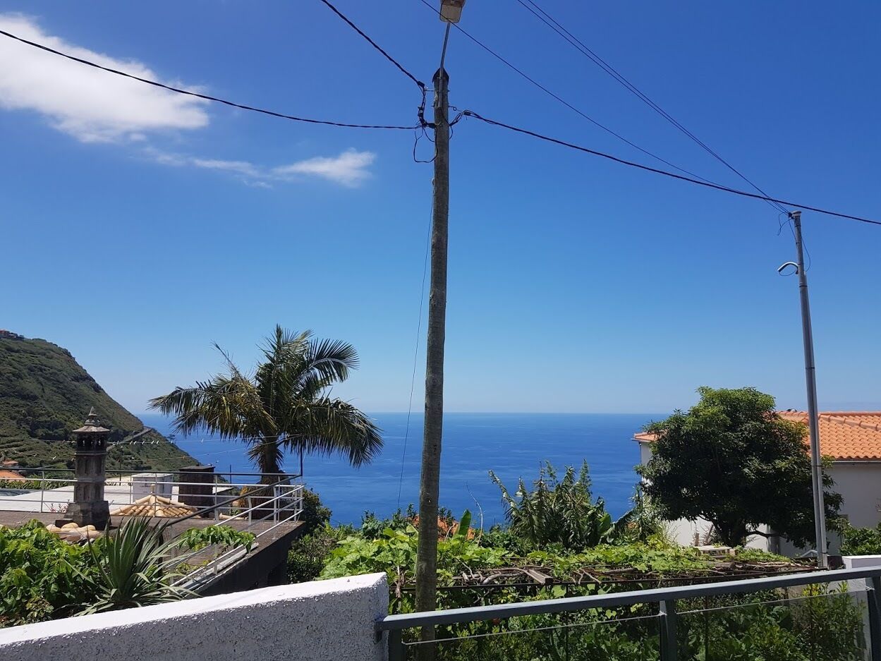 Une vue sur la côte, avec un ciel dégagé, un palmier et un bâtiment doté d’un toit en tuiles.