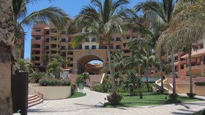Patio de un resort con palmeras, un arco central y un camino empedrado.
