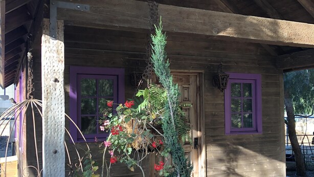 A wooden cabin with a porch, a potted plant, and a hanging flower basket.